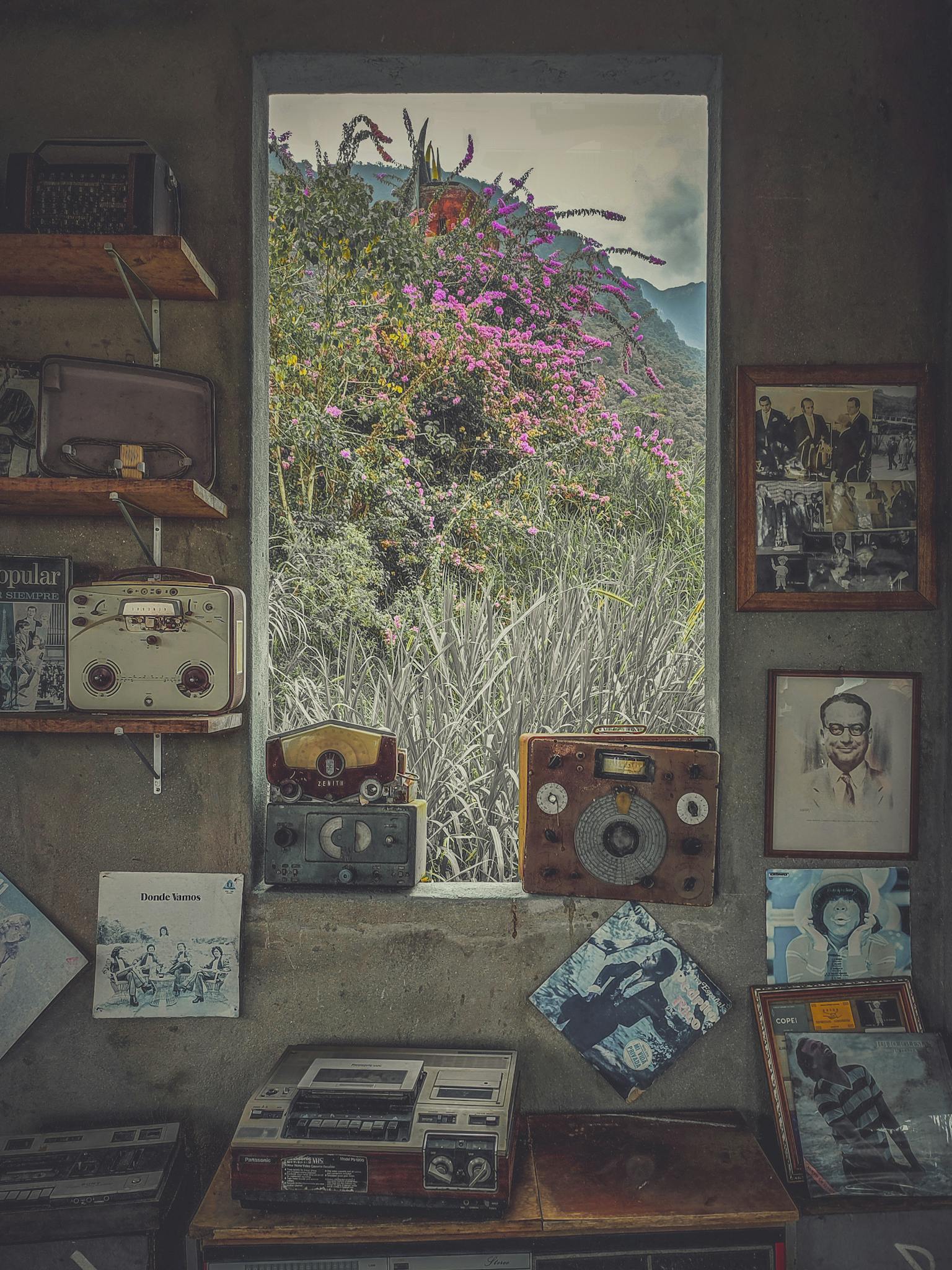 Charming vintage interior with retro radios, framed posters, and a blooming window view.