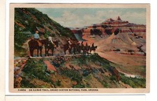 1954 Grand Canyon Fred Harvey Linen Postcard Horseback On The Kaibab Trail-PP10