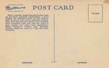 FRED HARVEY RAILROAD, LOT OF 12 VINTAGE POSTCARDS (RR1142) - Additional view 13
