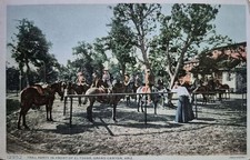 Grand Canyon, AZ. Trail Party In Front Of El Tovar - Fred Harvey PC