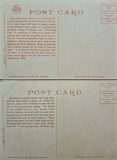 Adamana, AZ. Petrified Forest (2) Detroit Publishing & Fred Harvey Postcards - Additional view 1