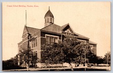Newton Kansas~Cooper School Building~Trees in Front~c1910 Fred Harvey Postcard