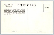 Fred Harvey Flyer Lemont Illinois Santa Fe Trian Chief Super Postcard - M2 - Additional view 1