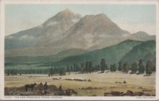 Postcard Fred Harvey The San Francisco Peaks Arizona AZ