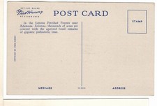 Petrified Forest Fred Harvey Linen Postcard Adamana Arizona Thomes Moran-BR1 - Additional view 1