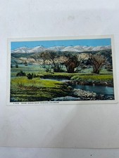 Vintage Linen & RPPC Postcards Lot – CA, NM, CO, Canada – Fred Harvey, 12 Cards - Additional view 18