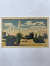 Vintage Linen & RPPC Postcards Lot – CA, NM, CO, Canada – Fred Harvey, 12 Cards - Additional view 6