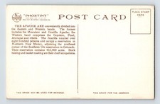 Postcard Native American Apache Indian Buffalo Calf Jicarilla Fred Harvey 1920s - Additional view 1