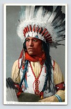 Postcard Native American Apache Indian Buffalo Calf Jicarilla Fred Harvey 1920s