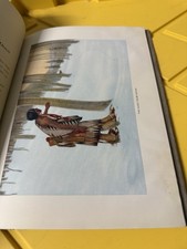 First Families of the Southwest Fred Harvey 1st Ed w/ Color Plates Native Art - Additional view 15
