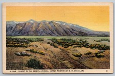 Sunset on the Desert Arizona Vintage Fred Harvey Postcard B.M. Dressler