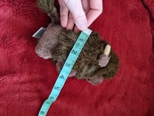 Vintage Star San Francisco '94 Fred Harvey Trading Buffalo Bison Plush - Additional view 6