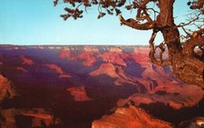 Postcard AZ Grand Canyon from Hopi Point Fred Harvey 1953 Vintage PC H5190