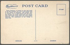 Postcard Santo Domingo New Mexico Fred Harvey Hotels and Restaurants - Additional view 1