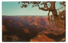 Fred Harvey Postcard AZ Arizona Grand Canyon Hopi Point