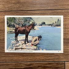 6 Vintage Postcards Fred Harvey Southwest Apache, Hopi Village Baking Bread - Additional view 1