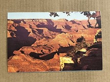 Postcard Arizona AZ Grand Canyon National Park Scenic View Fred Harvey