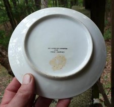RARE FRED HARVEY SOUVENIR CHINA PLATE-New Mexico-Apache Land-Full Color Face-c19 - Additional view 1