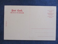 1910s Santo Domingo New Mexico Indian Harvest Dance Fred Harvey Postcard - Additional view 1