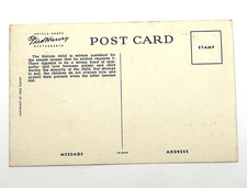 Fred Harvey Postcard Navajo Papoose Arizona H-2245 Unused - Additional view 1