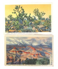 Lot of 7 Fred Harvey Linen Postcards, Grand Canyon, Mohave Desert - Additional view 1