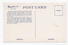 Hopi Snake Dance Ceremony Indian Native American Fred Harvey WB Postcard - Additional view 1