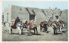 "Wood Train" Native American, New Mexico Vtg Postcard Fred Harvey Phostint
