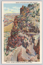 AZ Grand Canyon Fred Harvey Jacob's Ladder on Bright Angel Trail Postcard b2