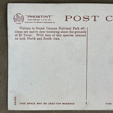 Vintage Grand Canyon Rendezvous, EL TOVAR Hotel SET OF 2 Fred Harvey Postcards - Additional view 11