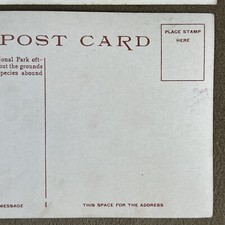 Vintage Grand Canyon Rendezvous, EL TOVAR Hotel SET OF 2 Fred Harvey Postcards - Additional view 12