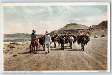 c1910's A Hopi Indian Wood Train Arizona AZ Fred Harvey Phostint Postcard