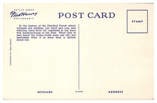 VTG The Petrified Forest, Natl Park, Fred Harvey Advertisement, AZ - Additional view 1