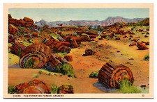 VTG The Petrified Forest, Natl Park, Fred Harvey Advertisement, AZ