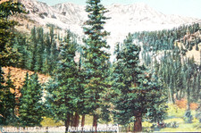 1909 SIERRA BLANCA MOUNTAIN COLORADO POSTED DIVIDED POSTCARD FRED HARVEY GERMANY