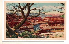 1940s Grand Canyon Fred Harvey Linen Postcard West From Hopi Point-PP10