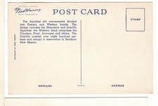 Fred Harvey Linen Arizona Postcard Apache Warrior at Navajo Rio Horse Rifle-FL1 - Additional view 1