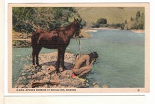 Fred Harvey Linen Arizona Postcard Apache Warrior at Navajo Rio Horse Rifle-FL1