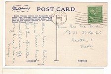 1948 Fred Harvey Linen AZ Postcard Deer Bright Angel Lodge Grand Canyon Park-FL1 - Additional view 1