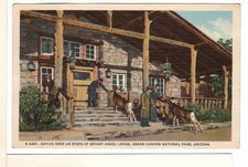 1948 Fred Harvey Linen AZ Postcard Deer Bright Angel Lodge Grand Canyon Park-FL1