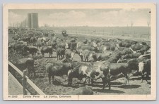 Cattle Pens La Junta Colorado CO Fred Harvey Postcard H-3563