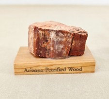 Vintage Arizona Petrified Wood Specimen Souvenir Purchased at Fred Harvey - Additional view 1