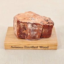 Vintage Arizona Petrified Wood Specimen Souvenir Purchased at Fred Harvey