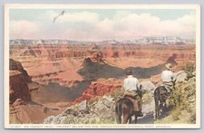 Hermit Trail Below Rim Grand Canyon Mules Postcard Fred Harvey UNP *c7