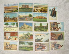 19 Vintage Postcards New Mexico Native American Southwest Fred Harvey Linen