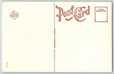 Pueblo of Isleta Estufa Albuquerque NM UNP Fred Harvey WB Postcard A17 - Additional view 1