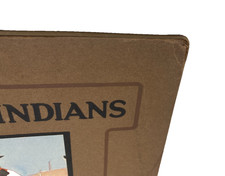 American Indians First Families of the SW Fred Harvey 2nd Ed 1920 Color Plates - Additional view 7