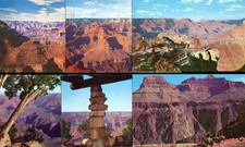 6 Grand Canyon Fred Harvey Postcards Mather Yavapai Point Hermits Rest Kaibab