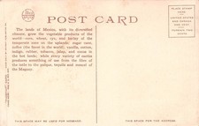 Mexico Postcard Market Scene Fred Harvey Phostint Mescal Donkey Sombrero c1910 - Additional view 1