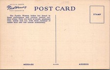 Fred Harvey Postcard Native American Baking Bread Pueblo Tesque New Mexico  - Additional view 1