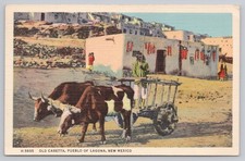 Old Caretta Pueblo of Laguna New Mexico Fred Harvey Postcard